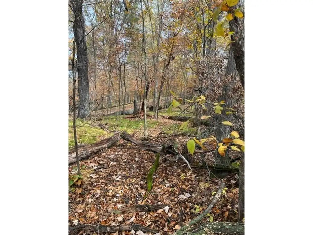 Lot 2 Tiger Street, Zimmerman, MN 55398