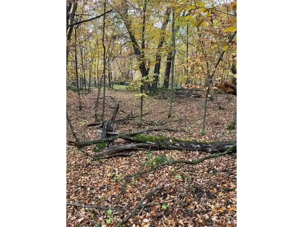 Lot 2 Tiger Street, Zimmerman, MN 55398