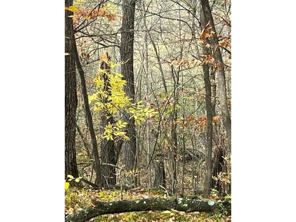 Lot 2 Tiger Street, Zimmerman, MN 55398