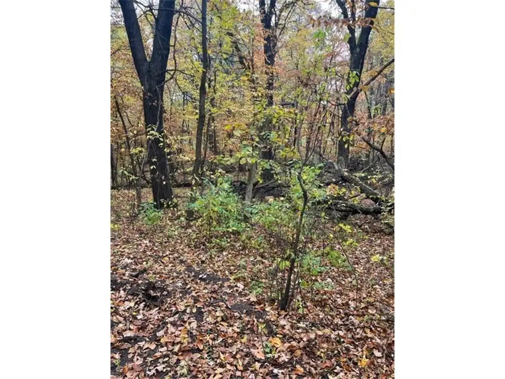 Lot 2 Tiger Street, Zimmerman, MN 55398