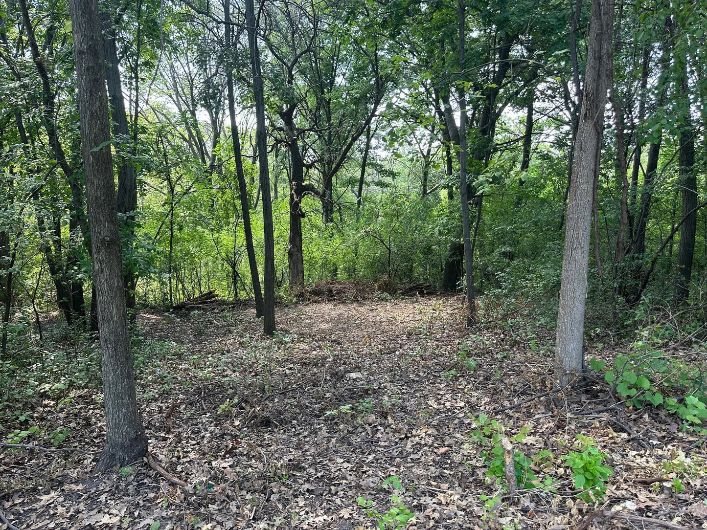 195X Glenhill Road, Mendota Heights, MN 55118