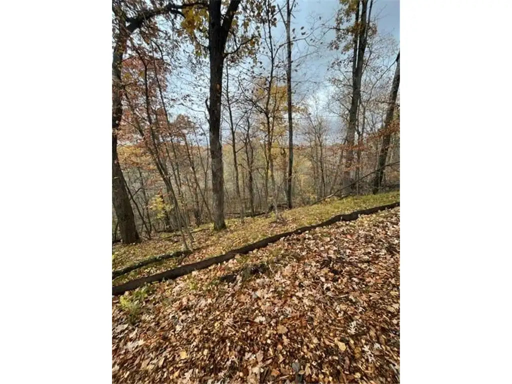 Lot 2 Tiger Street, Zimmerman, MN 55398