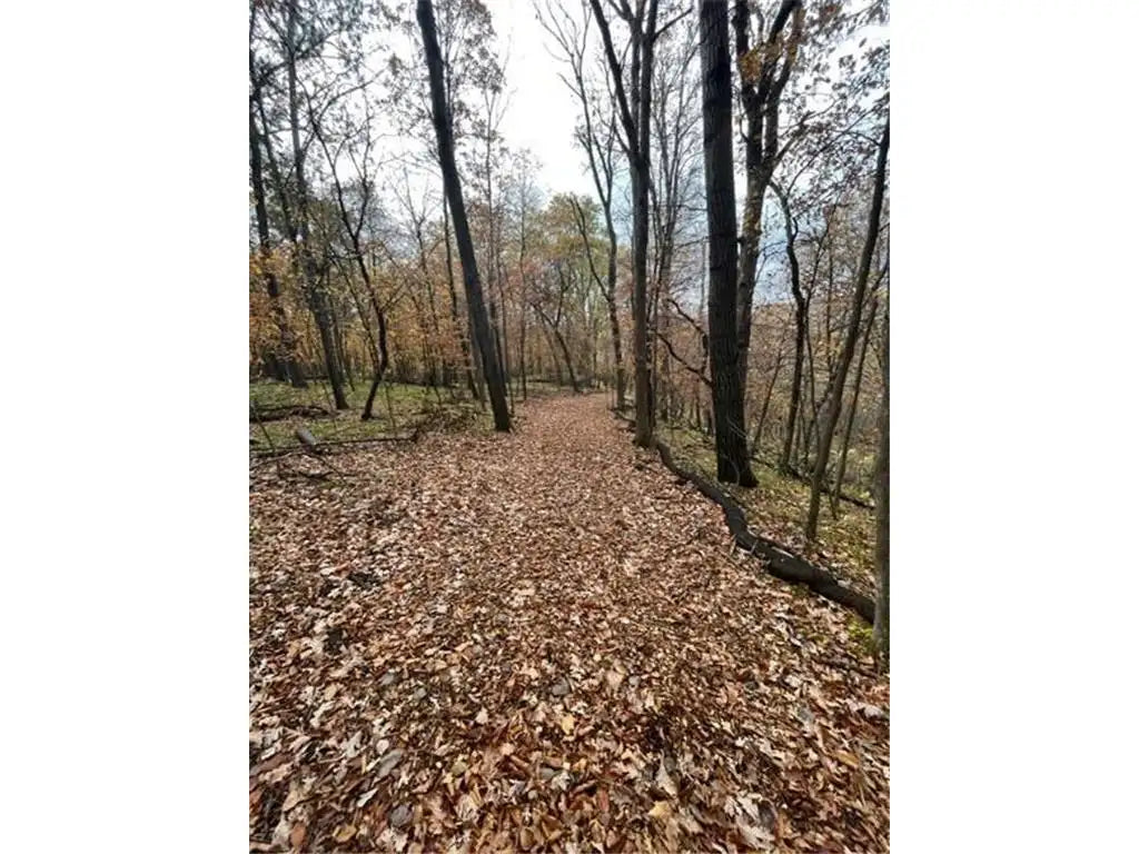 Lot 2 Tiger Street, Zimmerman, MN 55398