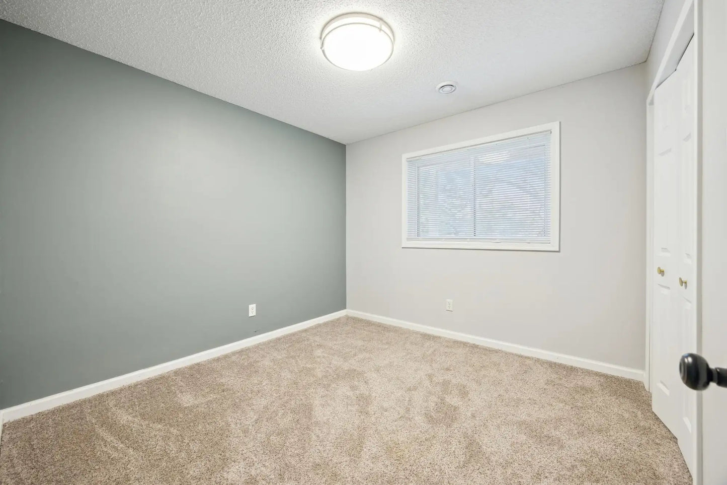 1801 Lachman Avenue, Saint Michael, MN 55376