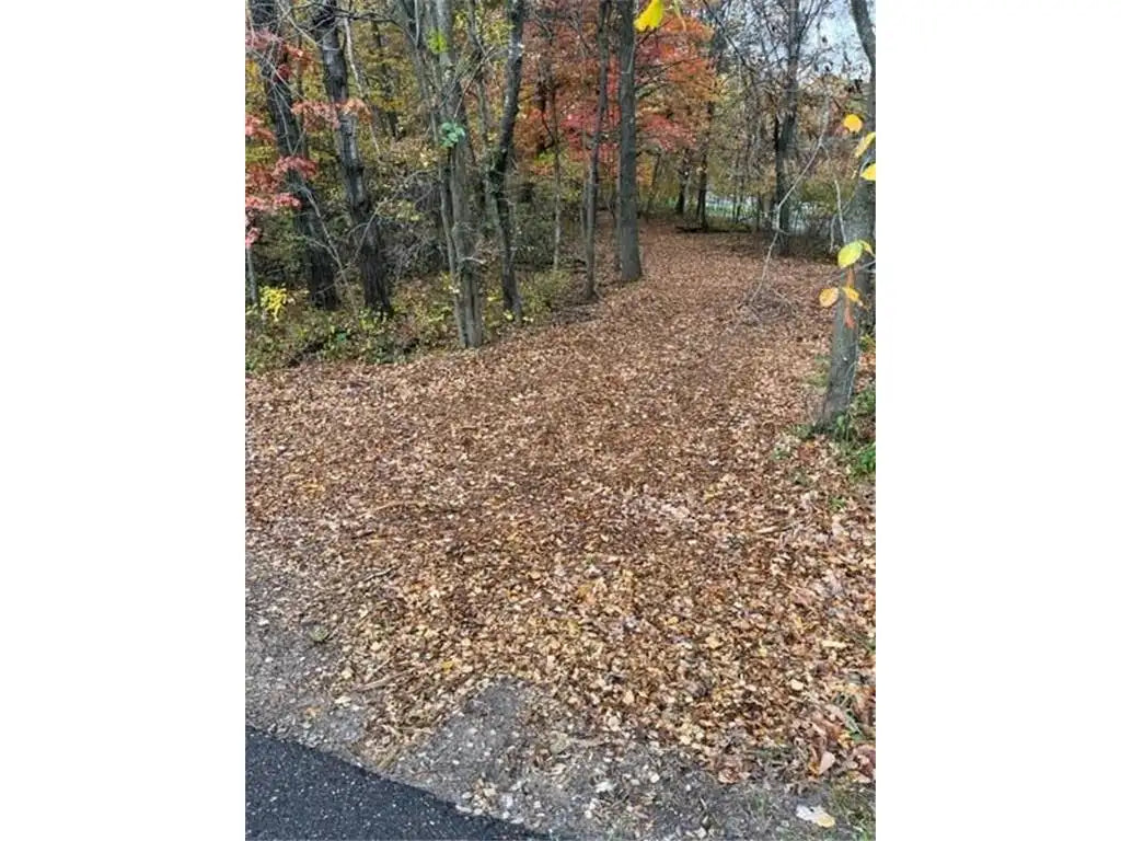 Lot 2 Tiger Street, Zimmerman, MN 55398