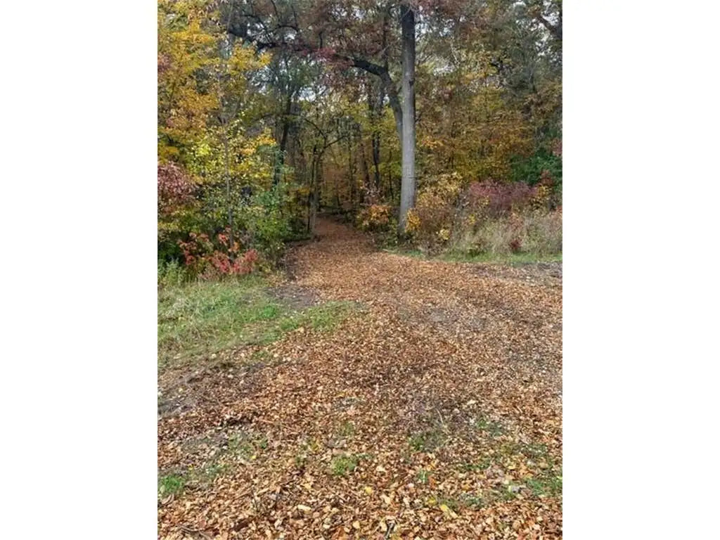 Lot 2 Tiger Street, Zimmerman, MN 55398