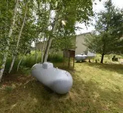 18625 Skunk Lake Road, Dell Grove Twp, MN 55072