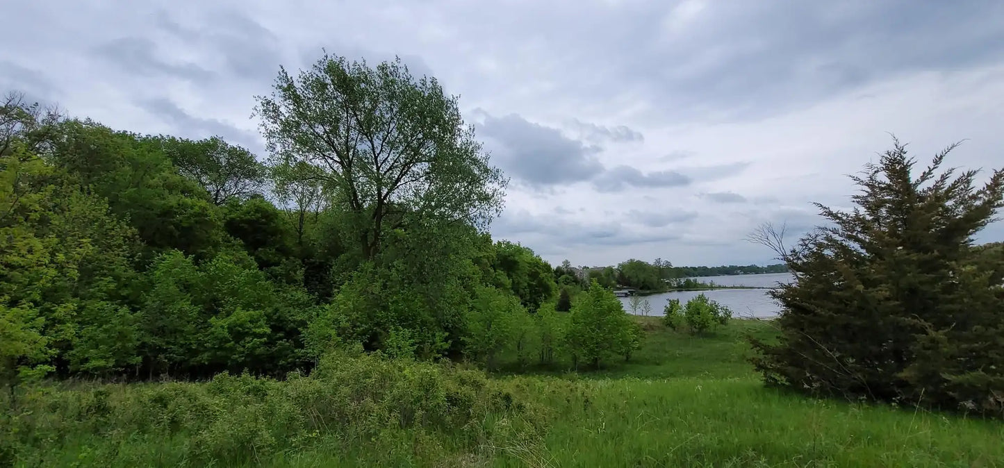 316xx Lot 3 Maria Avenue, Lindstrom, MN 55045