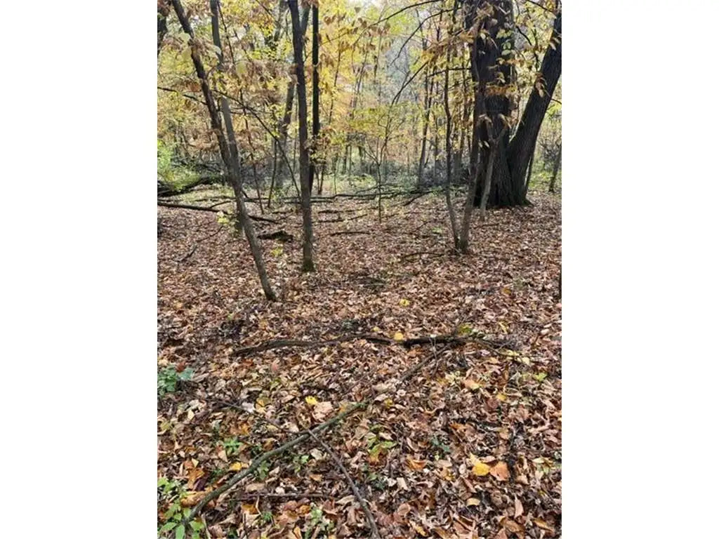 Lot 2 Tiger Street, Zimmerman, MN 55398