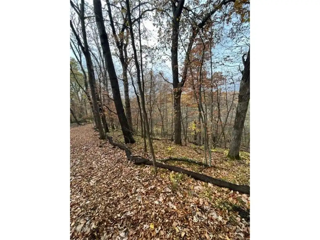 Lot 2 Tiger Street, Zimmerman, MN 55398