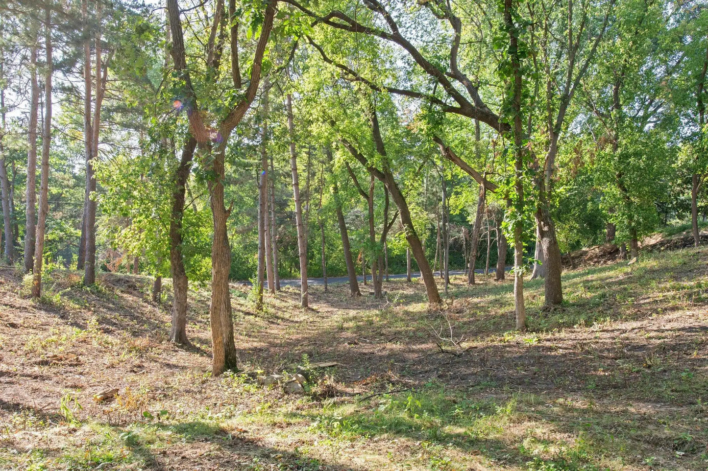 12786 Denmark Avenue, Apple Valley, MN 55124