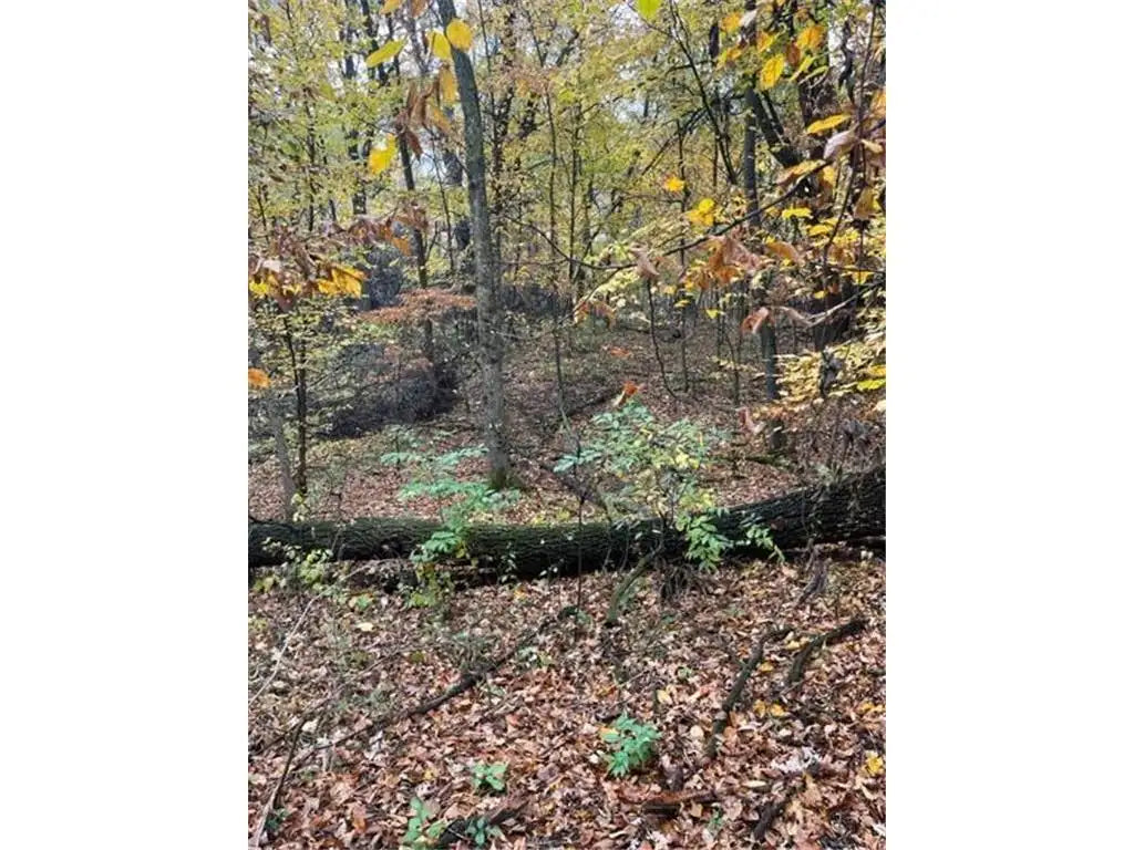 Lot 2 Tiger Street, Zimmerman, MN 55398