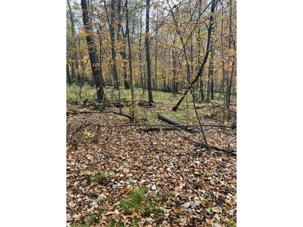 Lot 2 Tiger Street, Zimmerman, MN 55398